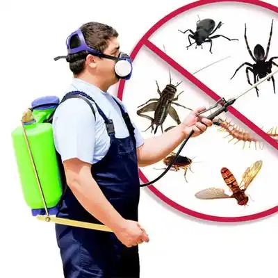 pest control La Monte